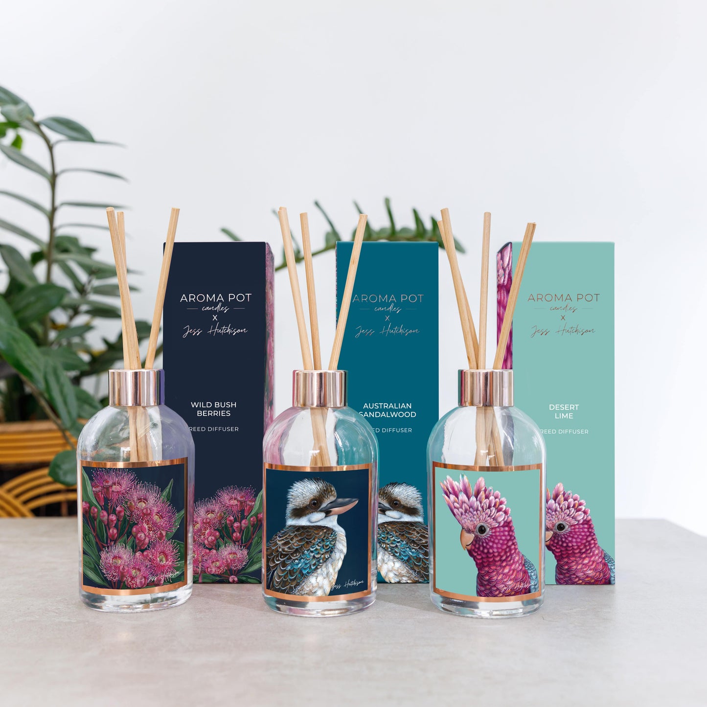 Australian artist reed diffuser | Australian Sandalwood | Jess Hutchison | 200ml