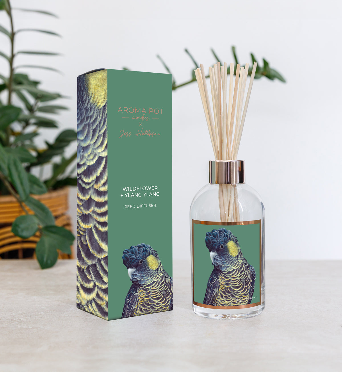 Australian artist reed diffuser | Wildflower + Ylang Ylang | 200ml | BLACK COCKATOO