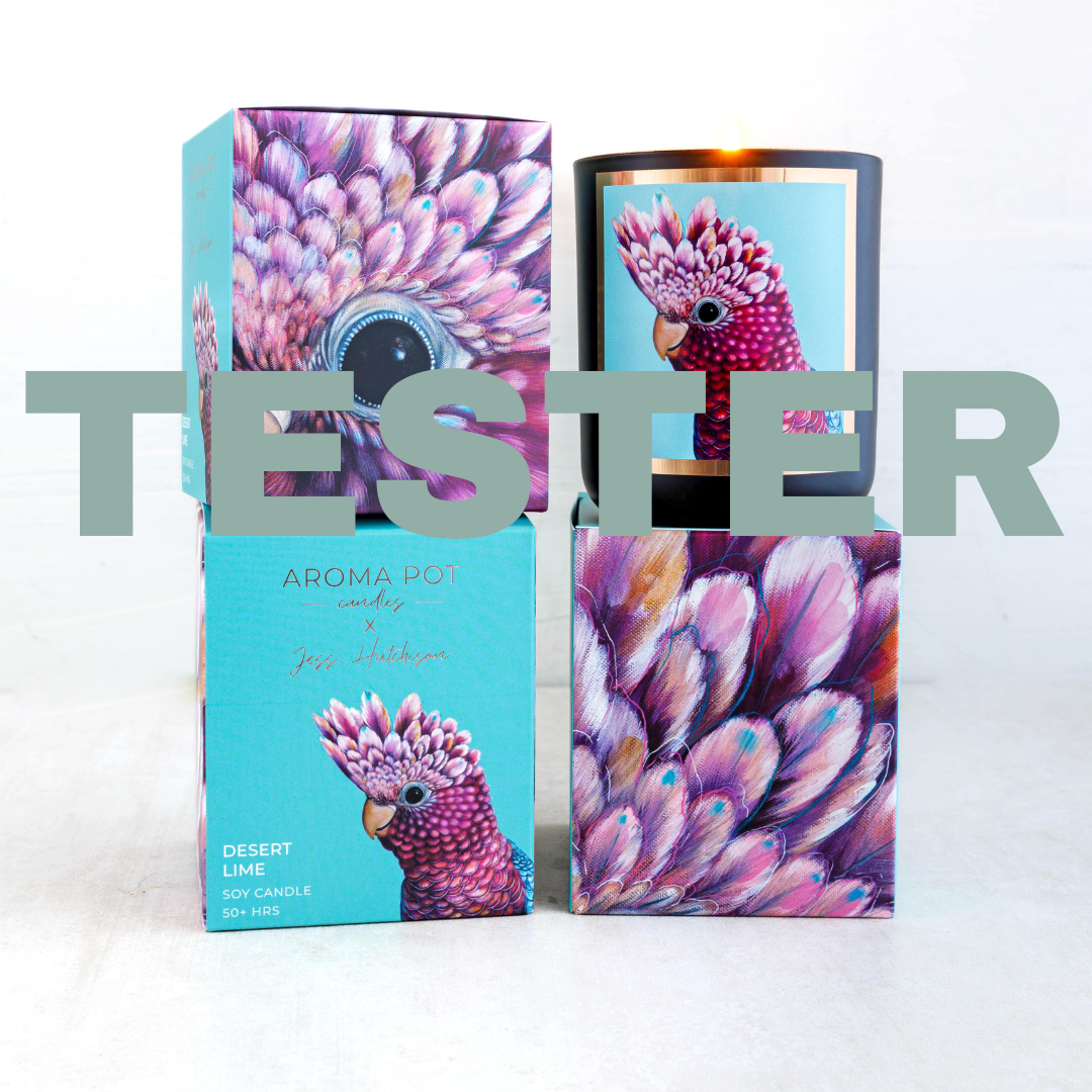 wsp TESTER Australian artist soy candle | desert lime | 50+hrs