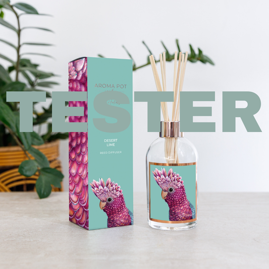 wsp TESTER Australian artist reed diffuser | Desert Lime | 200ml