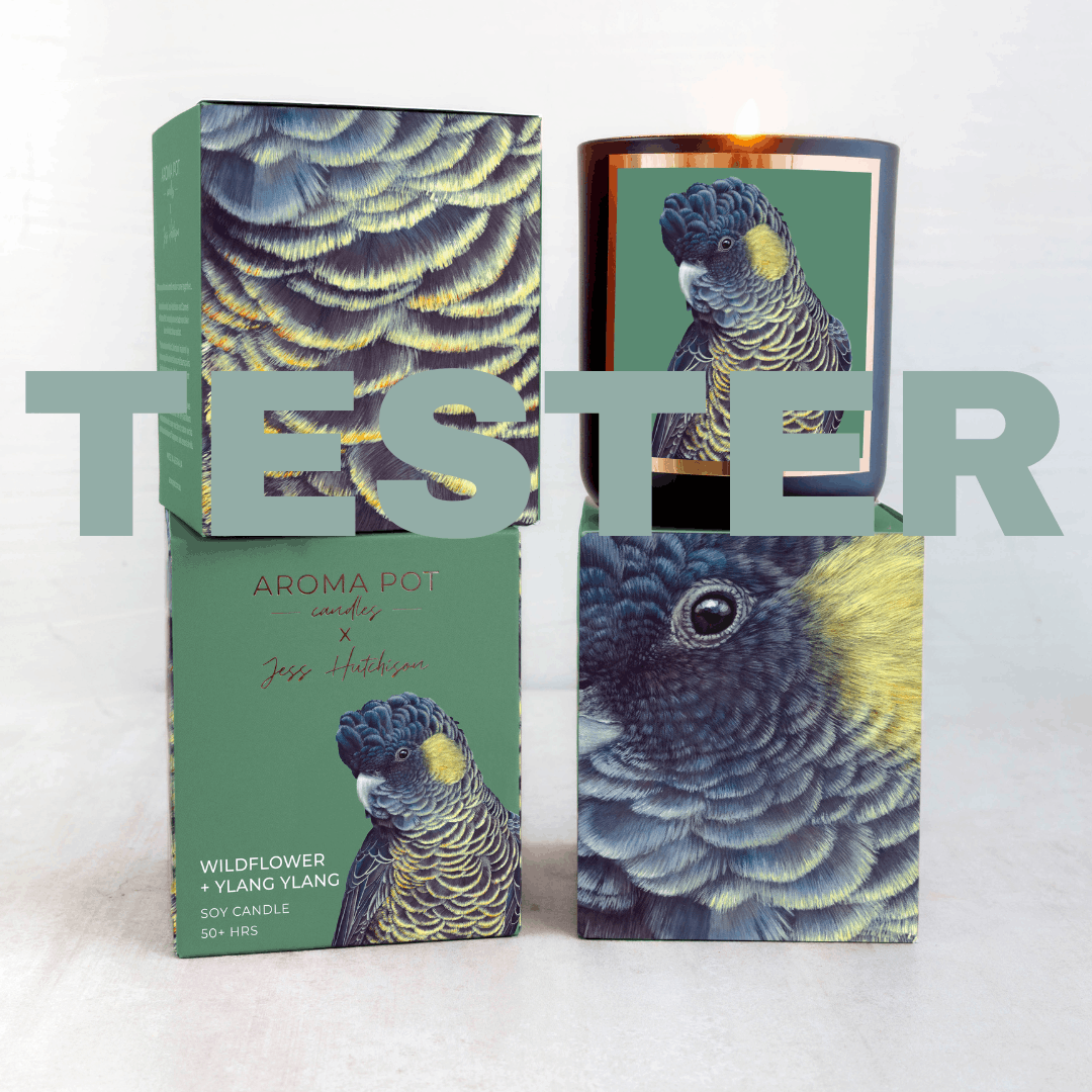 wsp TESTER Australian artist soy candle | Wildflower + Ylang Ylang | 50+hrs | AROMA POT