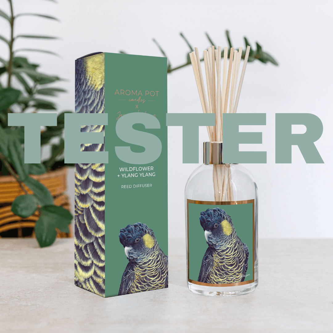 wsp TESTER Australian artist reed diffuser | wildflower + ylang ylang |200ml
