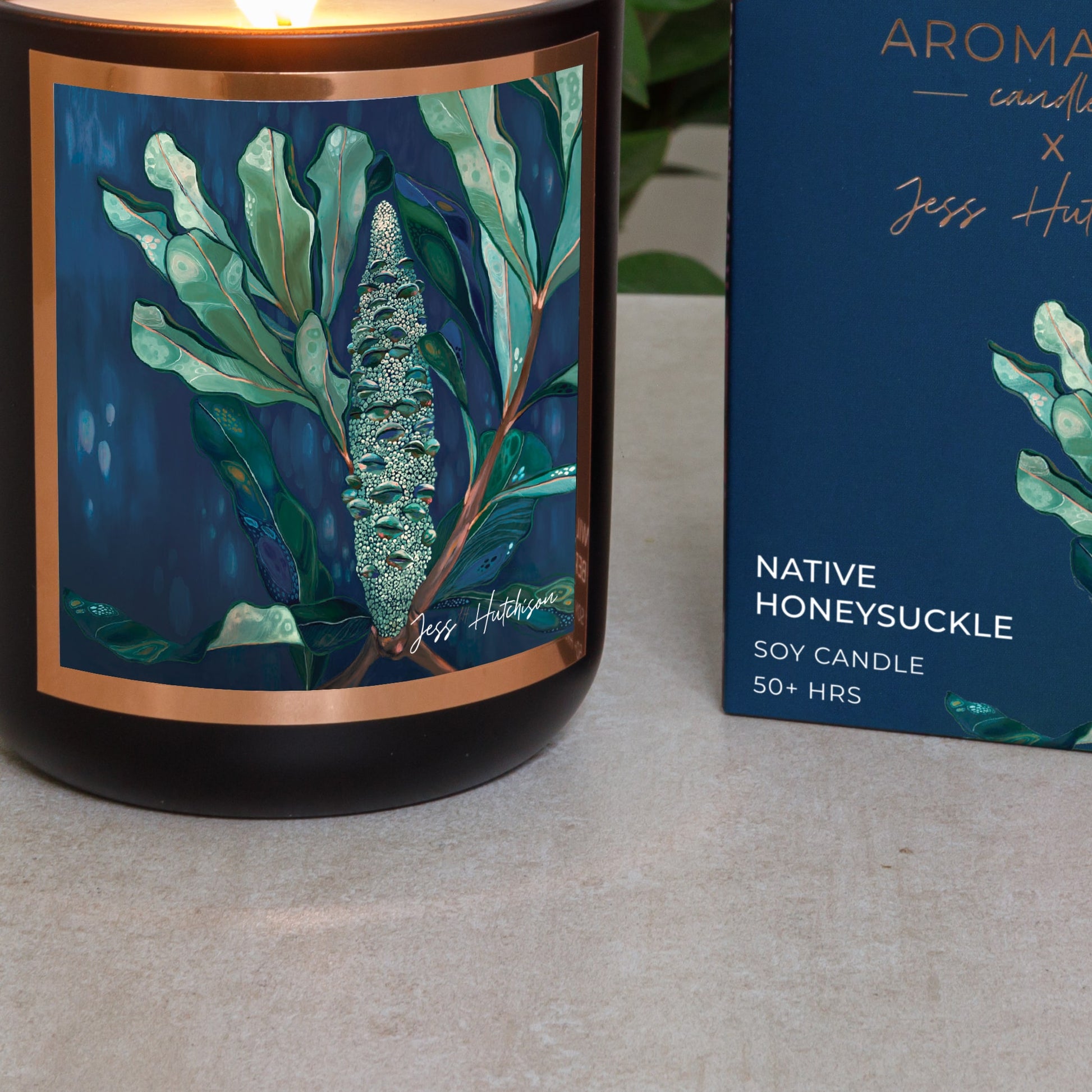 Australian artist soy candle | Native Honeysuckle | Banksia | 50+hrs