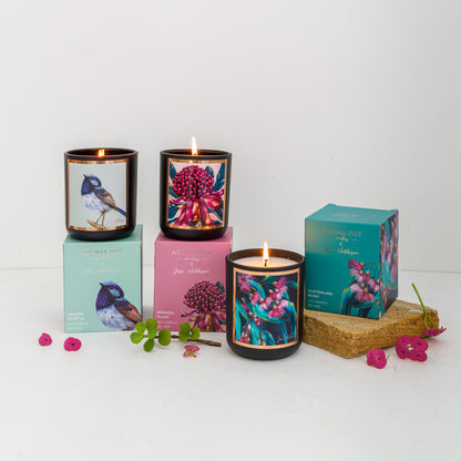TESTER Australian artist soy candle | Kakadu plum | 50+hrs