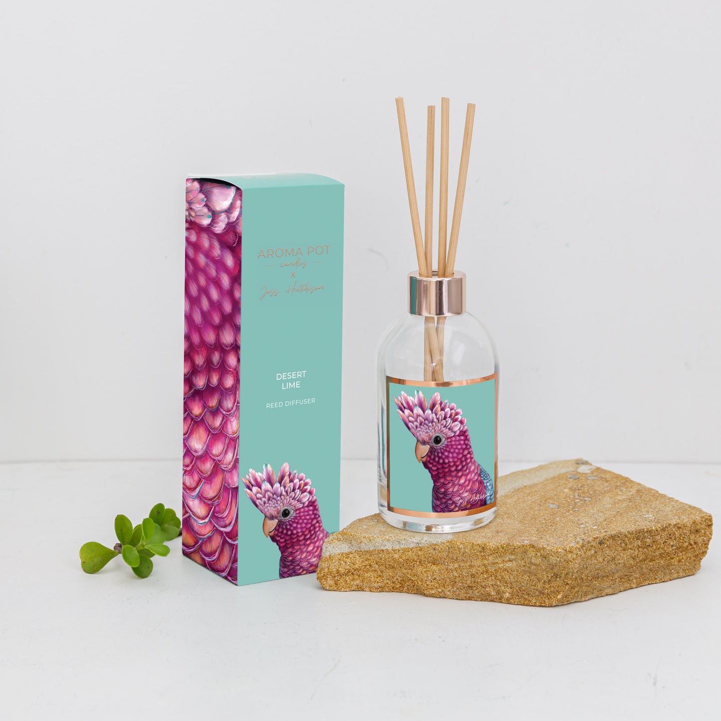 Australian artist reed diffuser | Desert Lime | 200ml