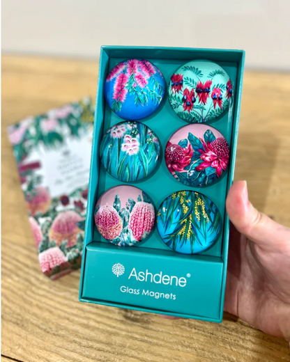 Jess Hutchison Magnets | Native Flora