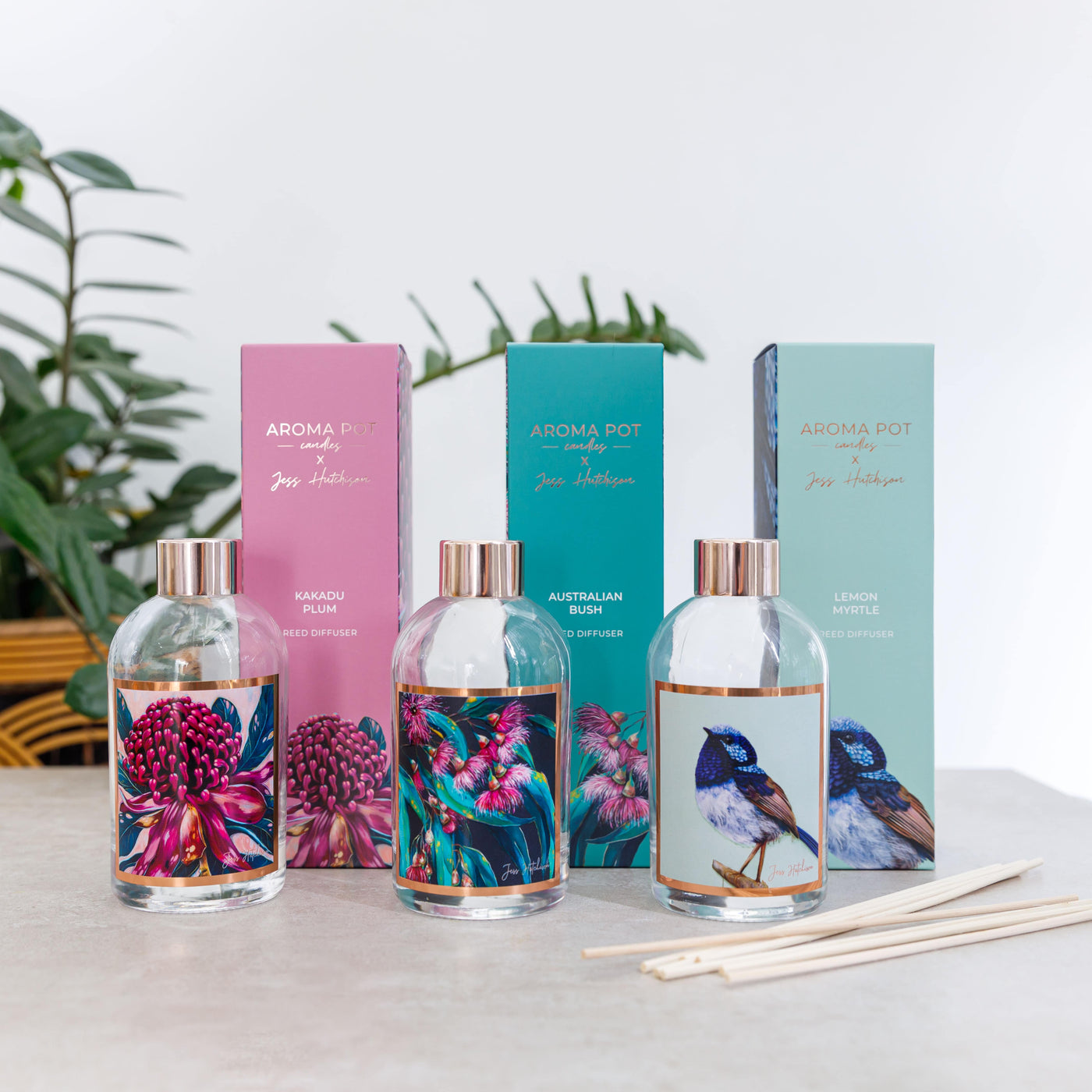 Australian artist reed diffuser | Australian Bush | 200ml | Aroma Pot ...