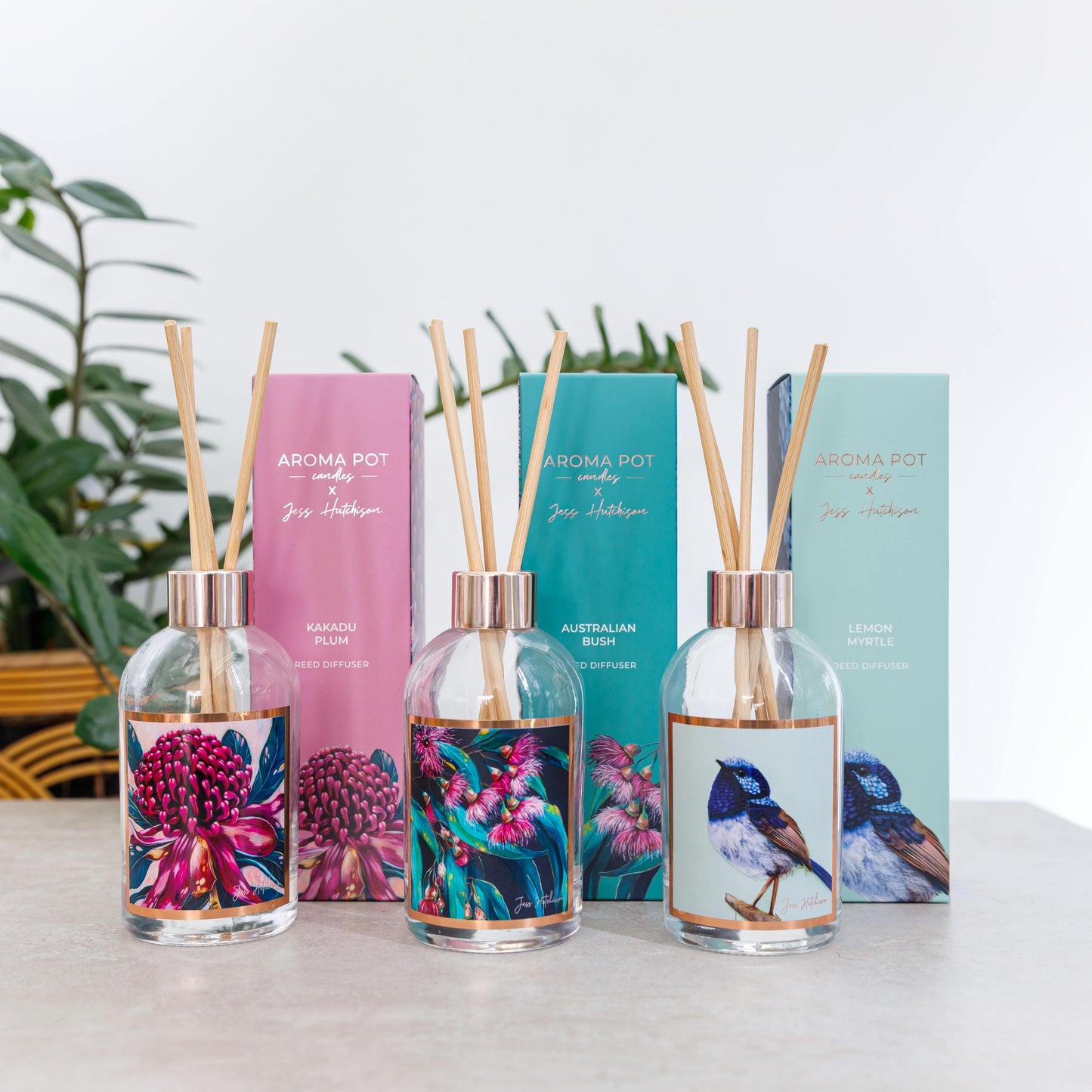 Wholesale Starter pack TWO | $990 | candles and diffusers