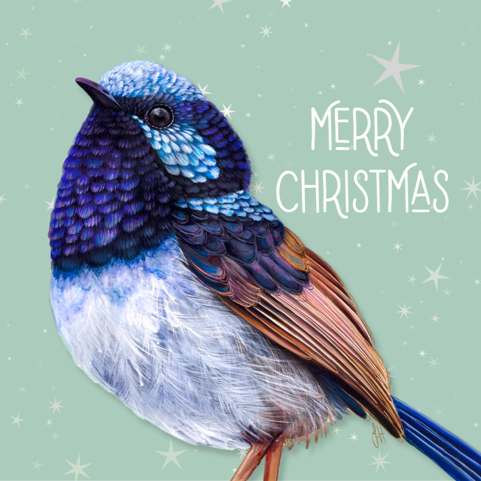 Jess Hutchison Christmas card | Fairy Wren | Merry Christmas