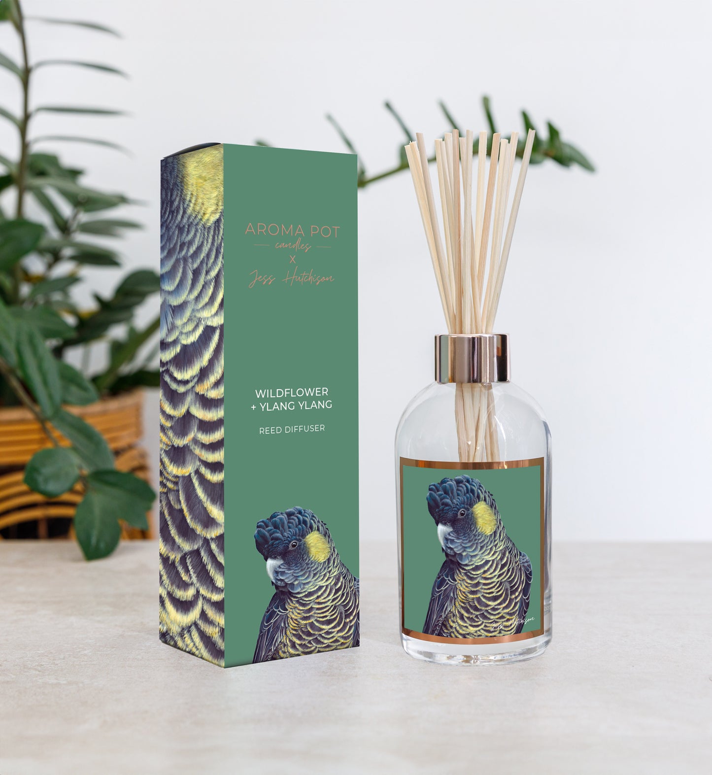 wsp TESTER Australian artist reed diffuser | wildflower + ylang ylang | 200ml