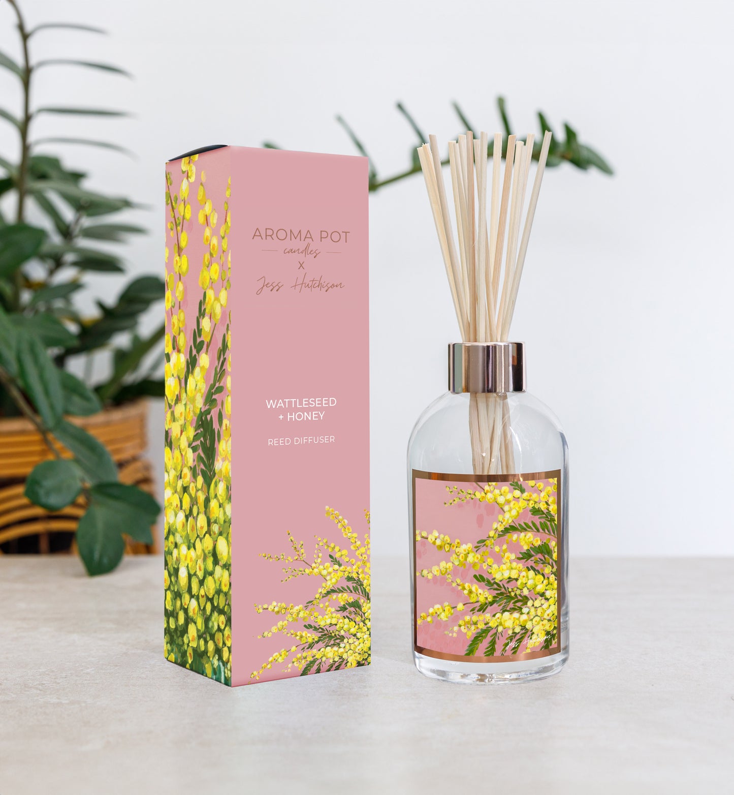 wsp TESTER Australian artist reed diffuser | wattleseed + honey | 200ml