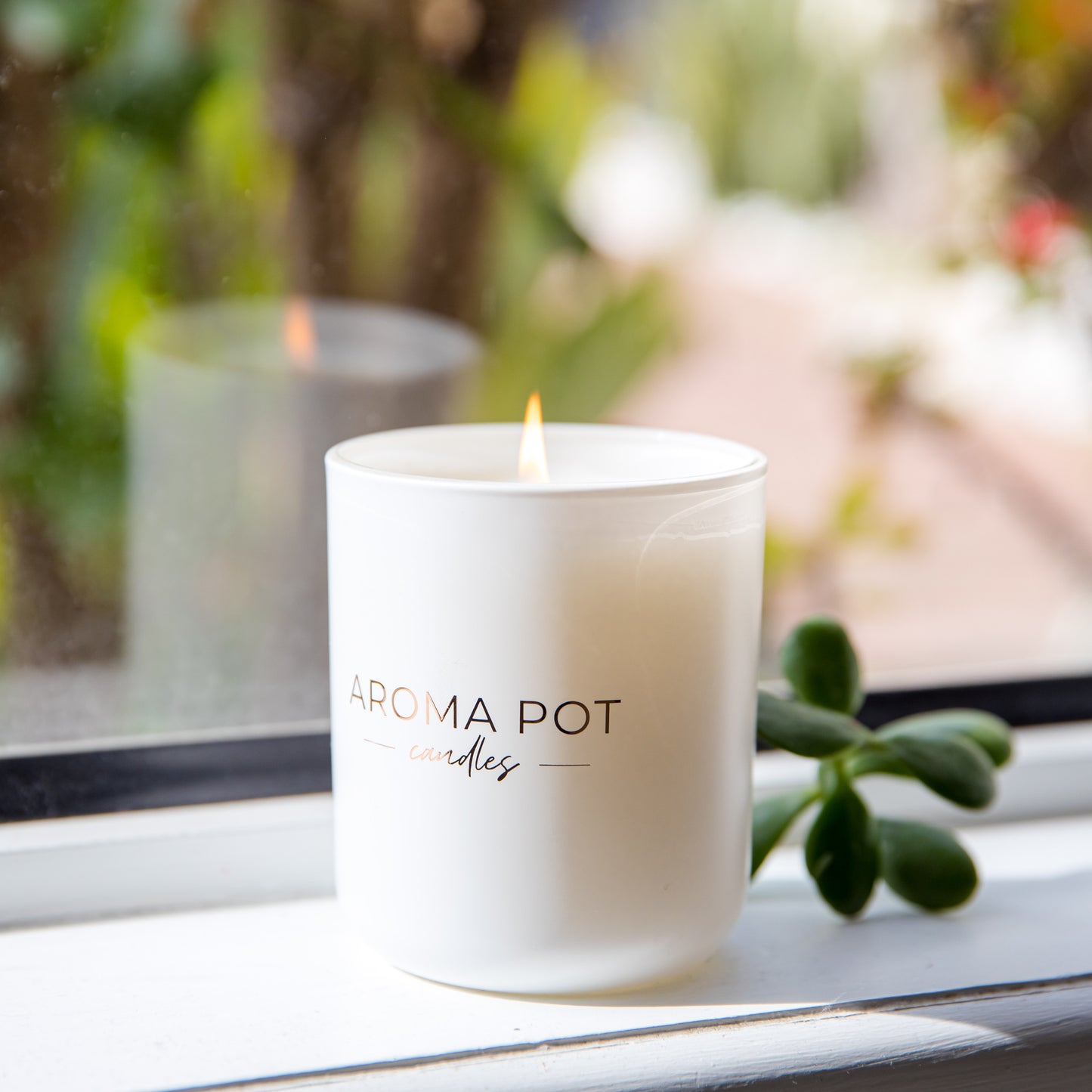 Aroma Pot Classic Candle | Coconut Lime | 50+hrs